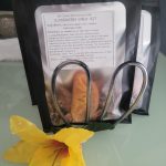 Elderberry Syrup Kit